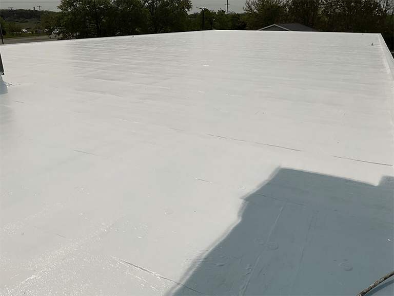 Metal & Membrane Restoration